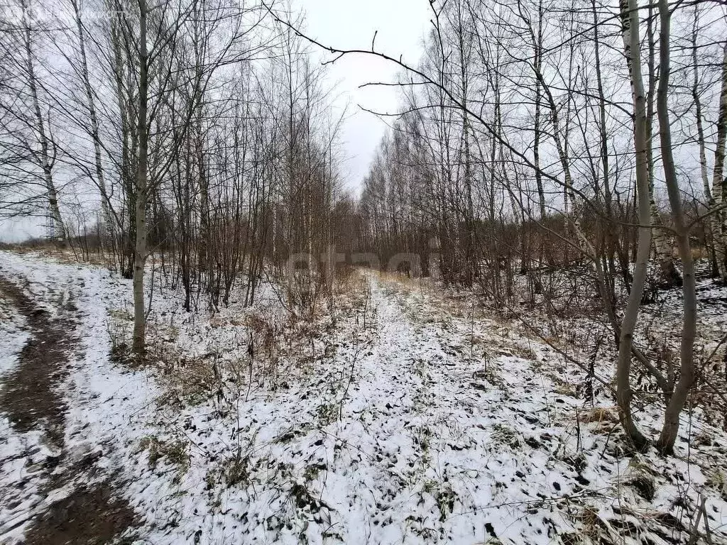 Участок в Кострома, Заволжский район (75.91 м) - Фото 2