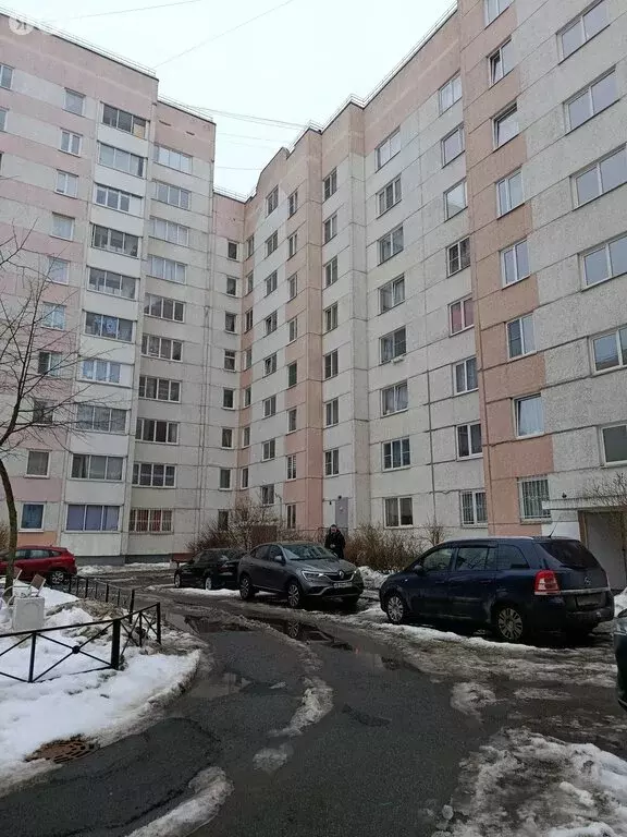 1-комнатная квартира: Красное Село, улица Спирина, 9к1 (35 м) - Фото 2