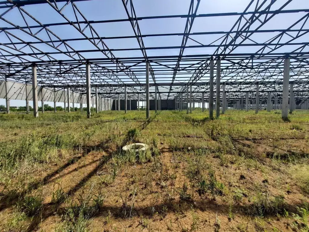 Склад в Самарская область, Волжский район, Смышляевка городское ... - Фото 2