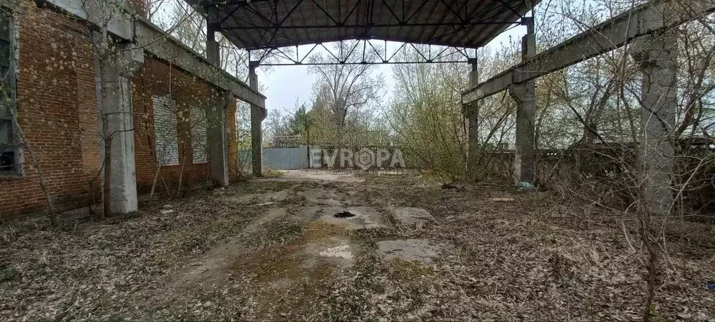 Помещение свободного назначения в Ульяновская область, Ульяновск ул. ... - Фото 1