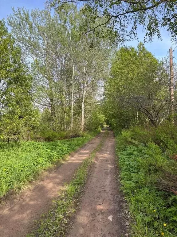 Участок в Псковская область, Гдовский район, Юшкинская волость, д. ... - Фото 2