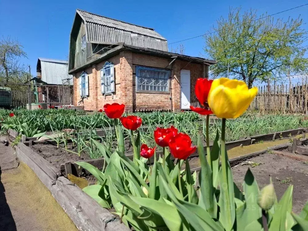 Дом в Омская область, Омск Сатурн нижний СНТ, аллея 4-я, 31 (50 м) - Фото 0
