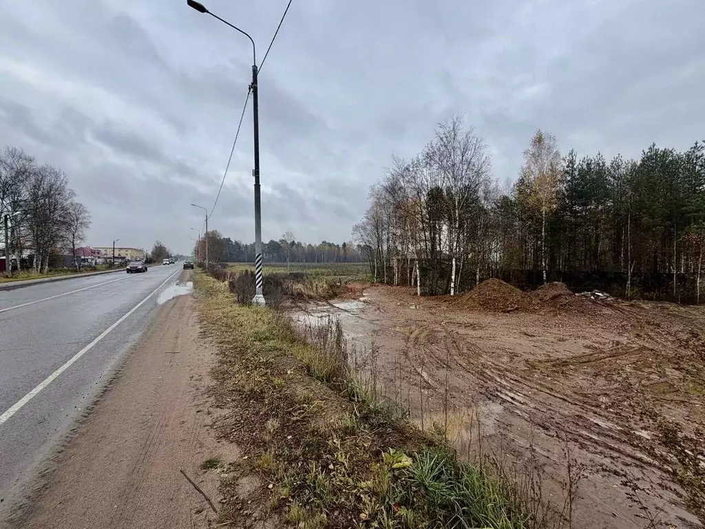 Участок в Московская область, Щелково городской округ, д. Огуднево ул. ... - Фото 2