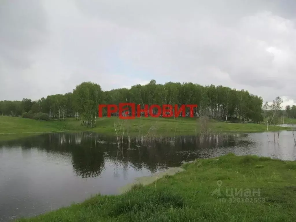 Участок в Новосибирская область, Мошковский район, с. Локти Советская ... - Фото 0