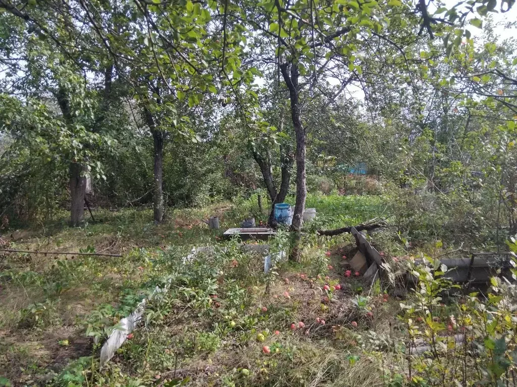 Участок в Челябинская область, Челябинск Хлебосад СНТ,  (6.0 сот.) - Фото 1