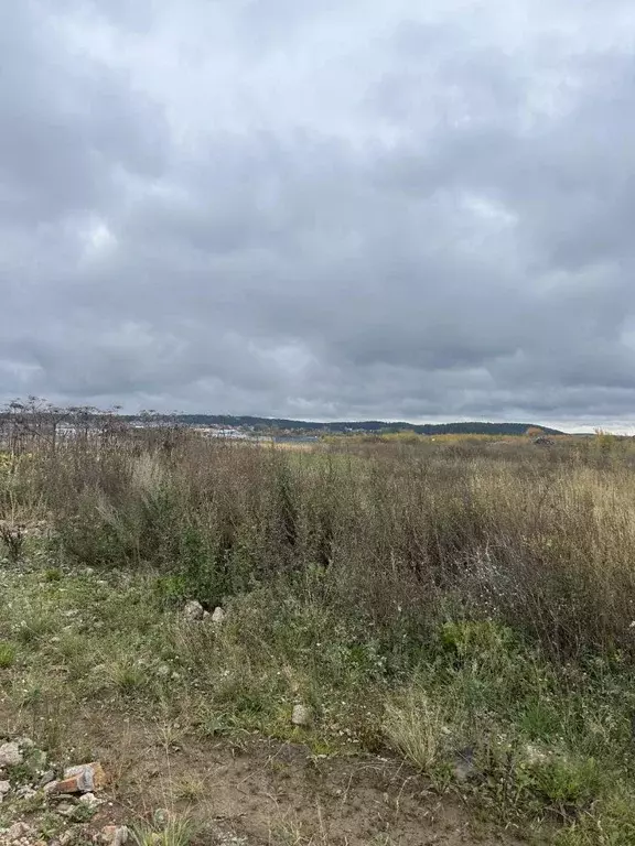 Участок в Пермский край, Пермский муниципальный округ, Придорожный ... - Фото 2