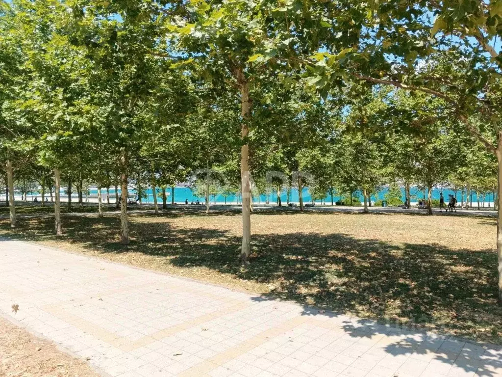 Помещение свободного назначения в Краснодарский край, Новороссийск ул. ... - Фото 2