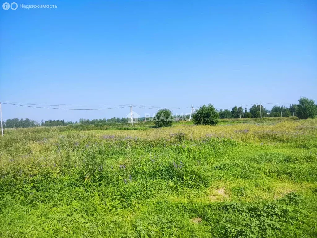 Участок в Марфино, деревня Шаньково (13 м) - Фото 1
