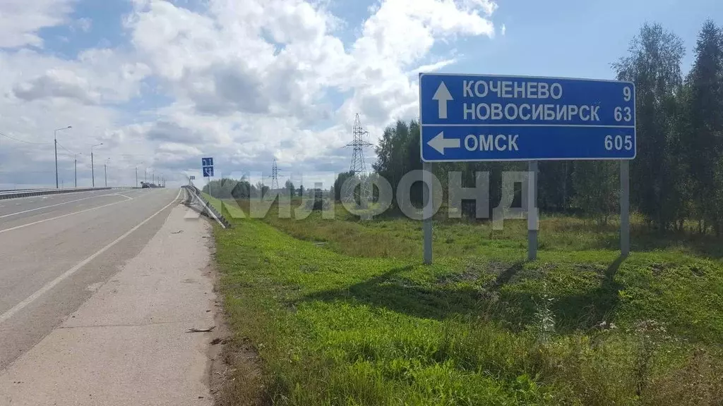Участок в Новосибирская область, Коченевский район Р-254 Иртыш, 1408-й ... - Фото 1