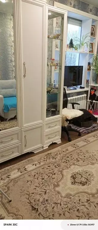 1-к кв. Ленинградская область, Тосненское городское поселение, пос. ... - Фото 1