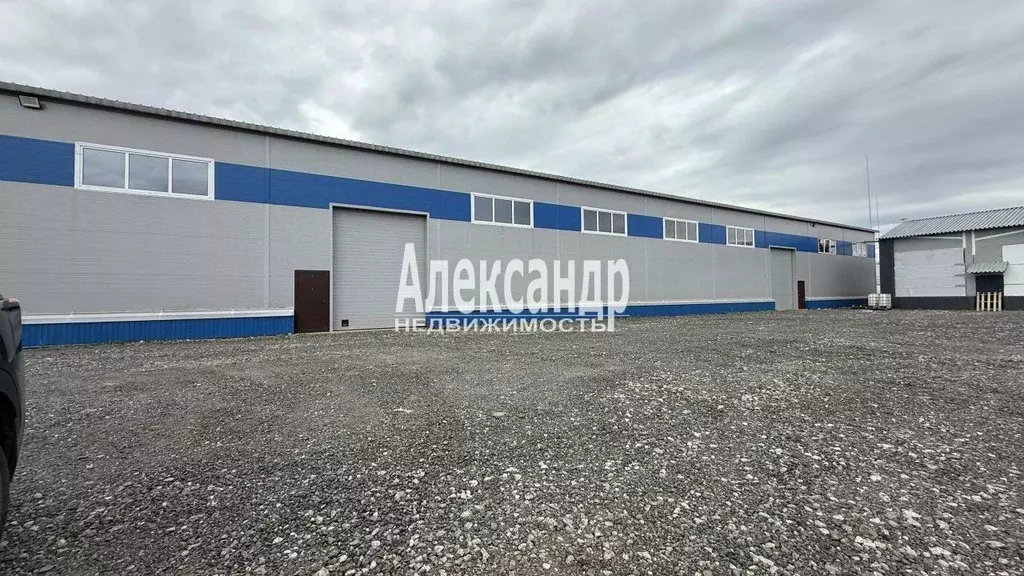 Склад в Ленинградская область, Всеволожский район, Муринское городское ... - Фото 1