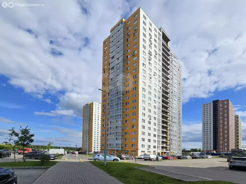 Квартира-студия: деревня Анкудиновка, Русская улица, 18 (25.3 м) - Фото 1