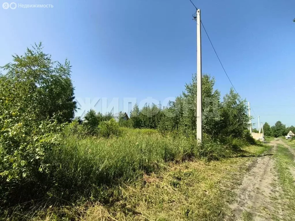 Участок в Новосибирск, Калининский район, микрорайон Пашино, улица ... - Фото 0