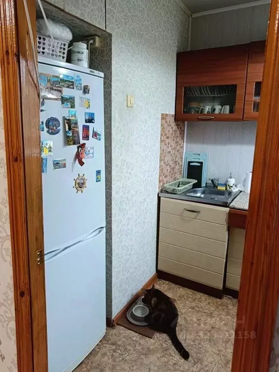 1-к кв. Нижегородская область, Нижний Новгород Юбилейная ул., 37 (28.5 ... - Фото 2