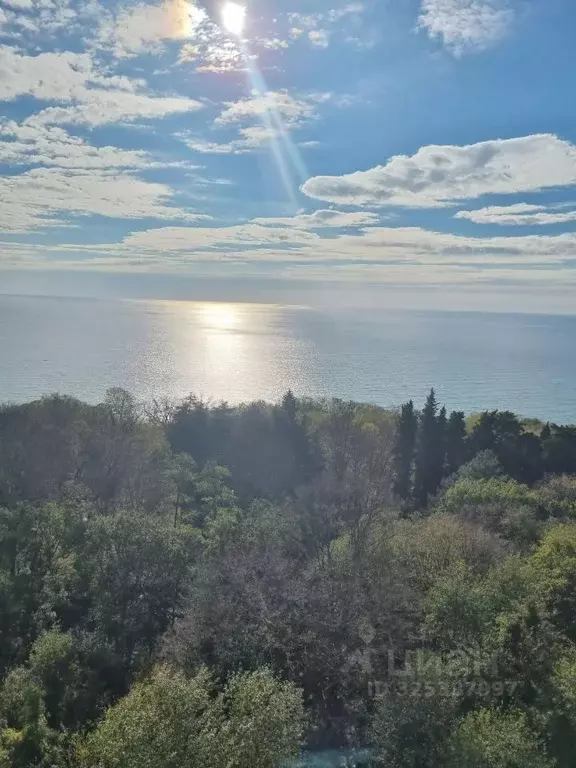 Студия Краснодарский край, Сочи Малый Ахун мкр, ул. Дорога на Большой ... - Фото 1