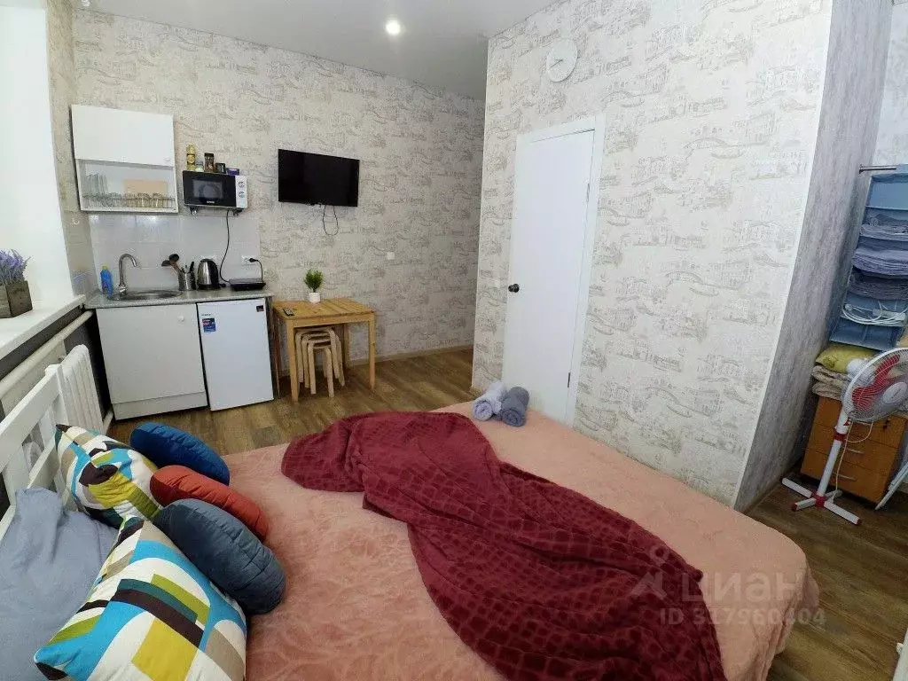 1-к кв. Татарстан, Казань Ипподромная ул., 29 (20.0 м) - Фото 2