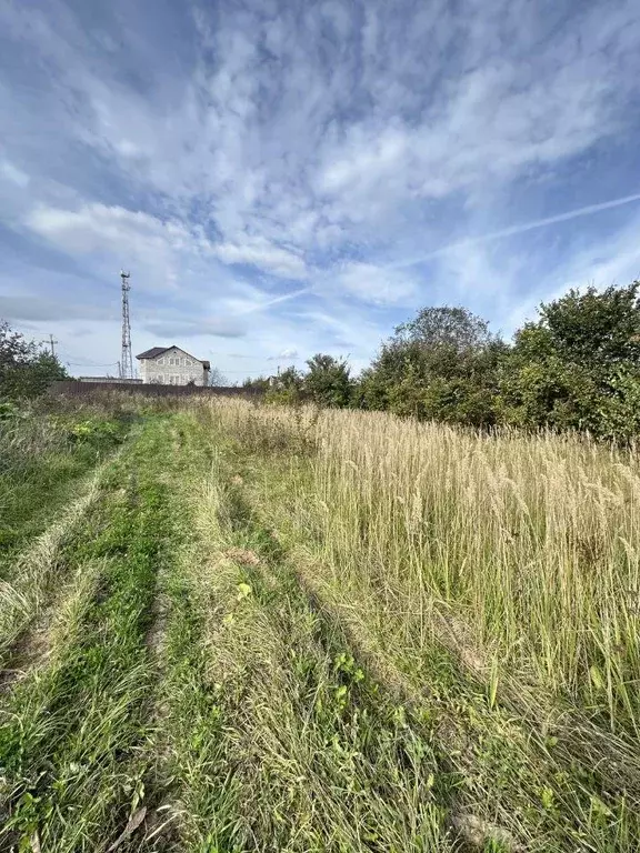 Участок, 25 сот., поселения (ижс) - Фото 1