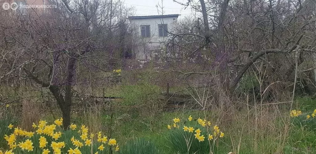 Участок в Феодосия, улица Панова (5.4 м) - Фото 1