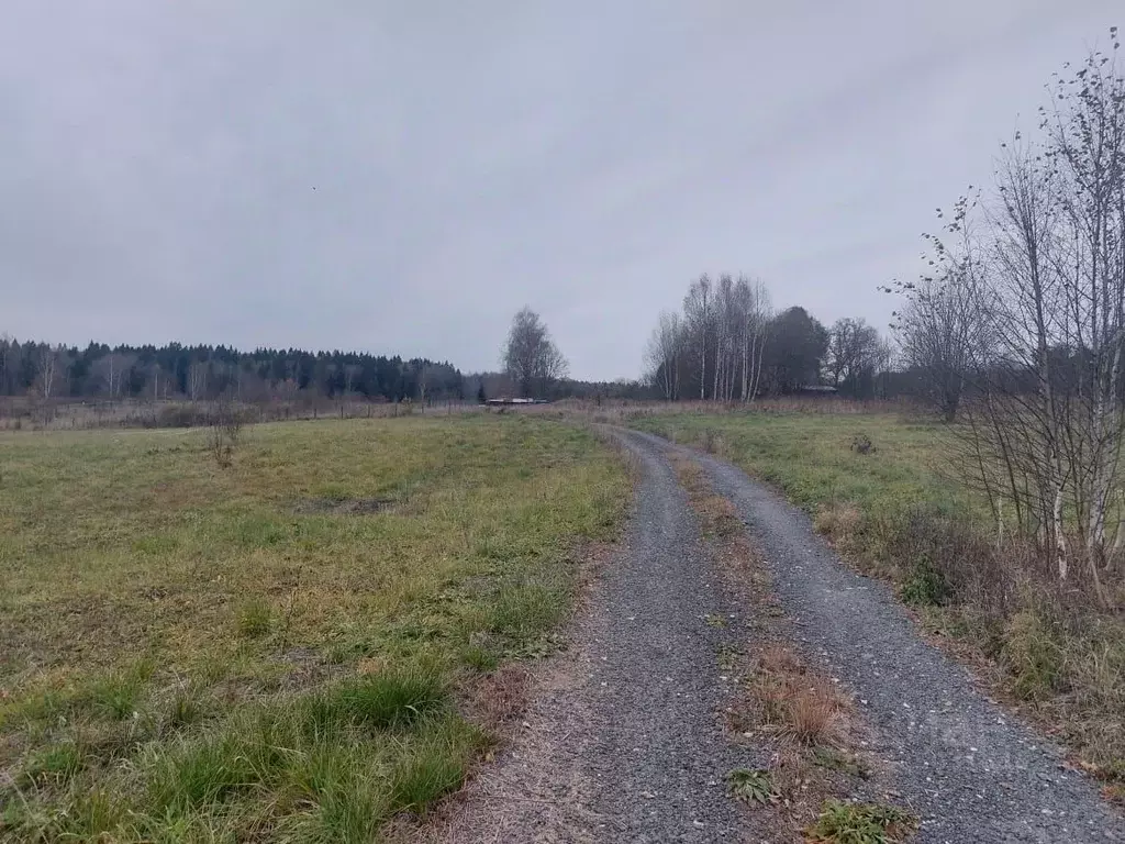 Участок в Московская область, Клин городской округ, д. Марфино  (9.0 ... - Фото 2