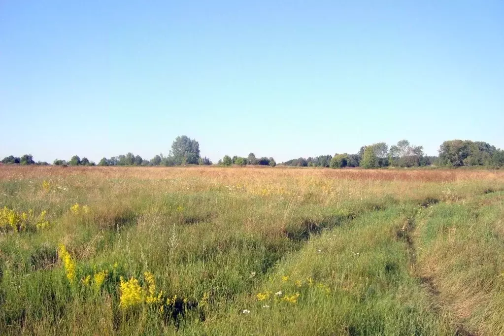 Участок в Ленинградская область, Выборгский район, Красносельское ... - Фото 0