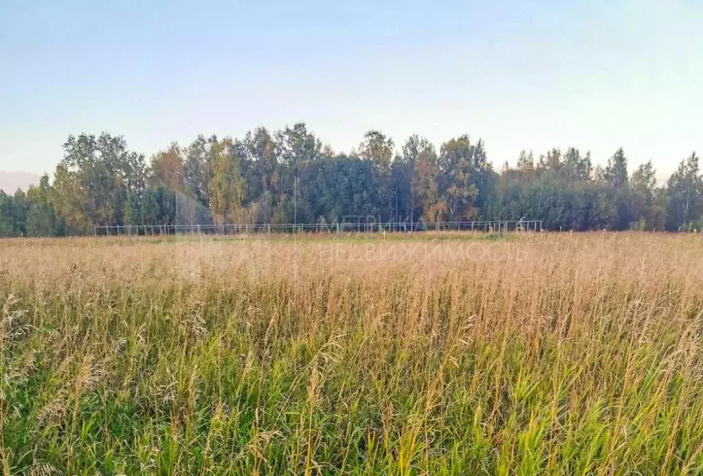 Участок в Тюменская область, Тюменский район, с. Чикча  (25.0 сот.) - Фото 1