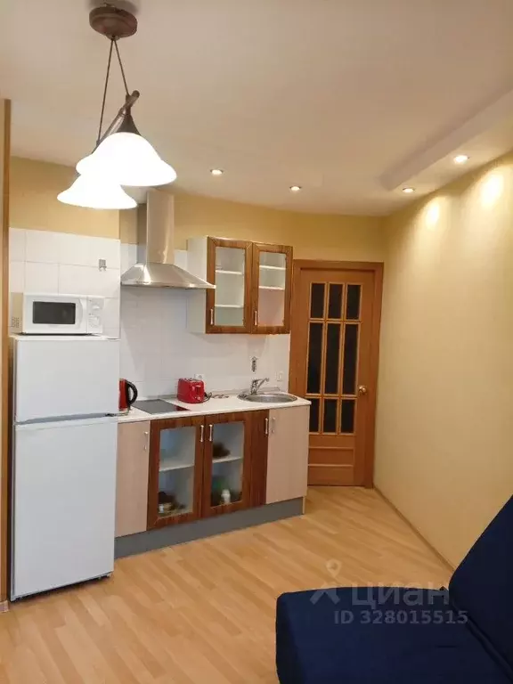 Студия Санкт-Петербург Дунайский просп., 23 (29.0 м) - Фото 2