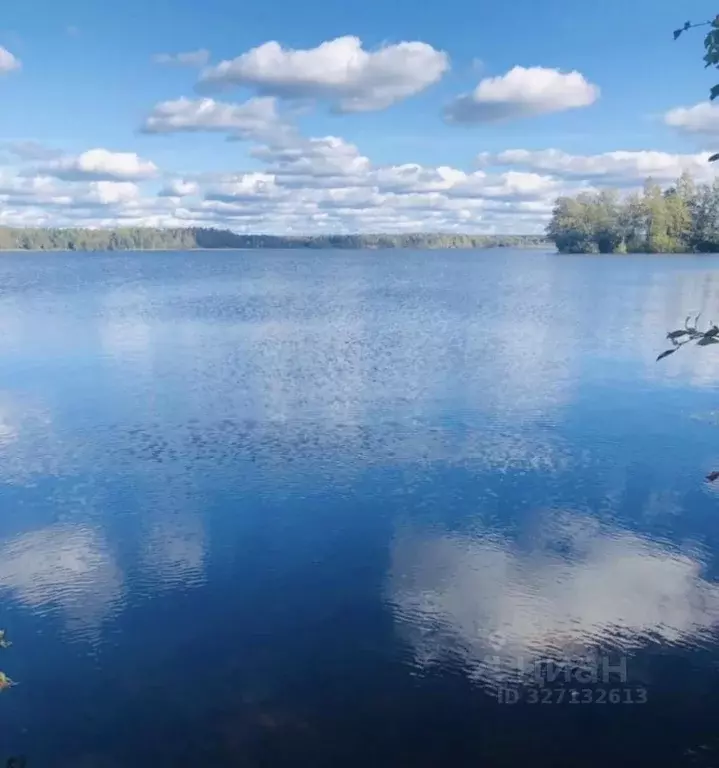 Участок в Ленинградская область, Выборгский район, Полянское с/пос, ... - Фото 1