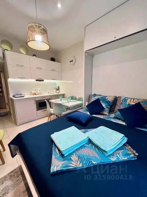 Студия Краснодарский край, Анапа Пионерский просп., 20 (22.0 м) - Фото 0