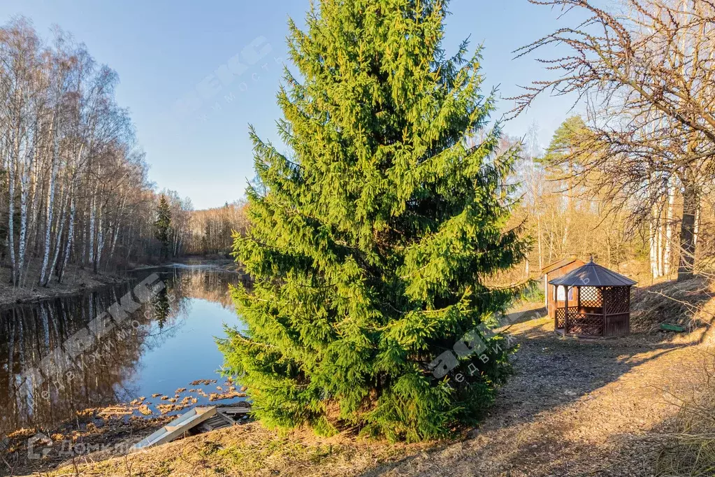 Продаётся 1-к квартира, 50.1 м - Фото 1