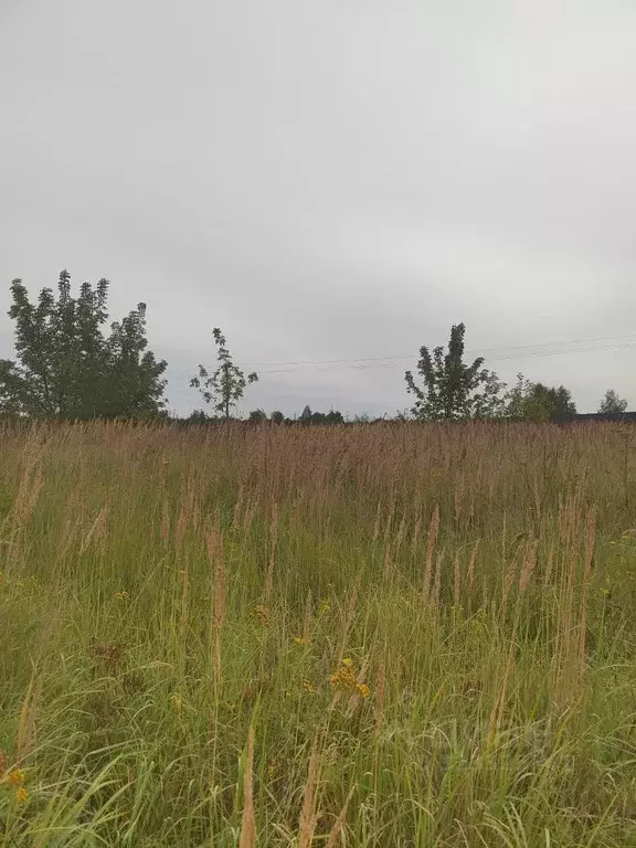 Участок в Московская область, Коломна городской округ, д. Елино  ... - Фото 1