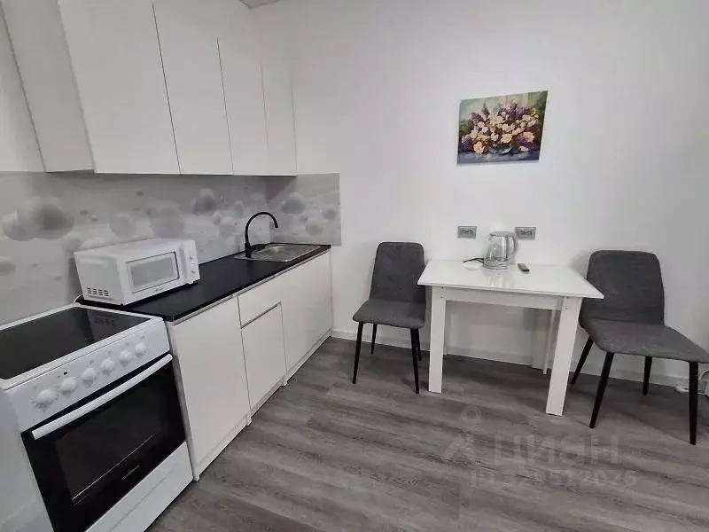 Студия Санкт-Петербург Парашютная ул., 71к2 (26.0 м) - Фото 1