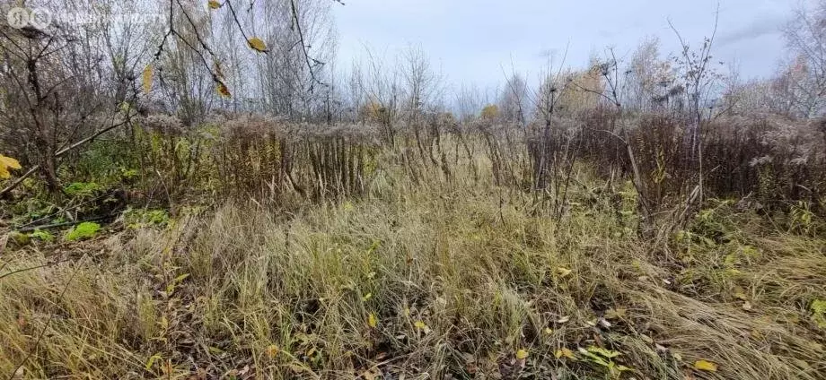 Участок в Владимирская область, округ Муром, деревня Орлово, Советская ... - Фото 0