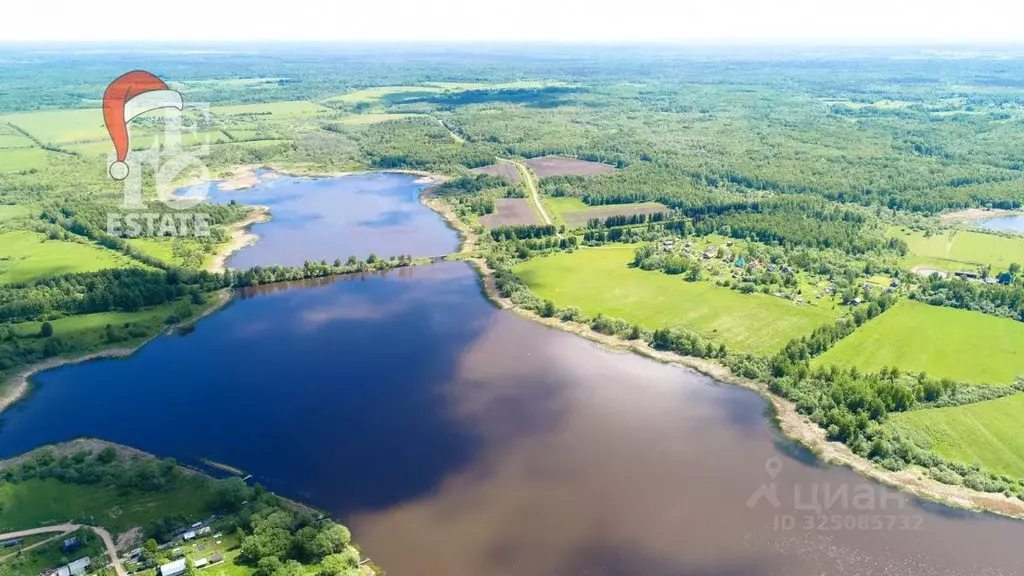 Участок в Ярославская область, Угличский муниципальный округ, д. ... - Фото 1