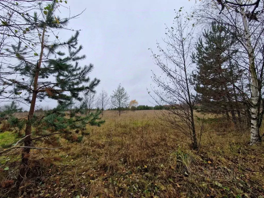 Участок в Владимирская область, Владимир д. Уварово, ул. Малая ... - Фото 1