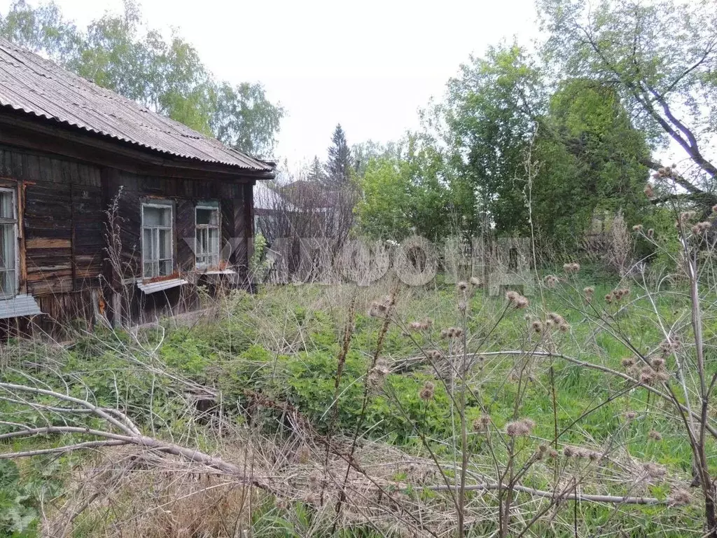 Участок в Новосибирская область, Новосибирск Уральская ул., 7 (7.0 ... - Фото 1