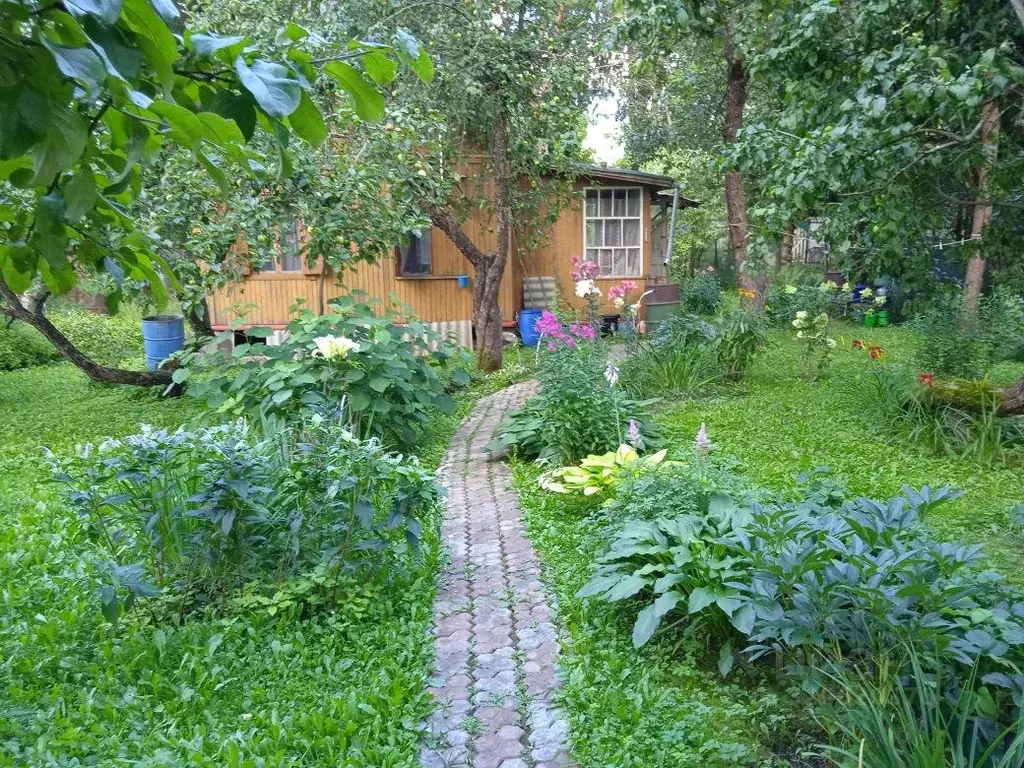 Дом, 42.6 м - Фото 1