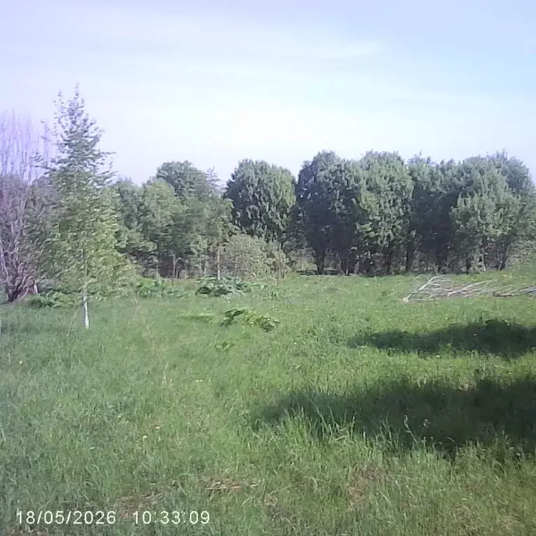 Участок в Московская область, Шаховская муниципальный округ, д. ... - Фото 2