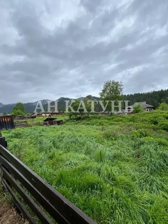 Участок в Алтай, Чемальский район, с. Чепош ул. Кучияк, 26 (8.98 сот.) - Фото 1