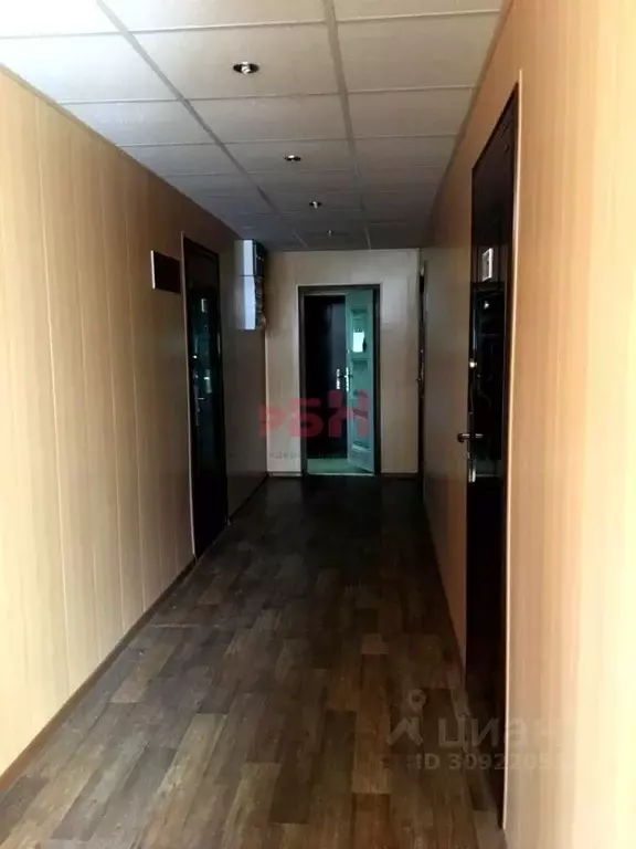 Офис в Курганская область, Курган ул. Коли Мяготина, 124А (114 м) - Фото 2