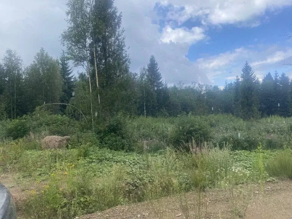 Участок в Новгородская область, Валдай ул. Алексея Маресьева, 31 (15.0 ... - Фото 0