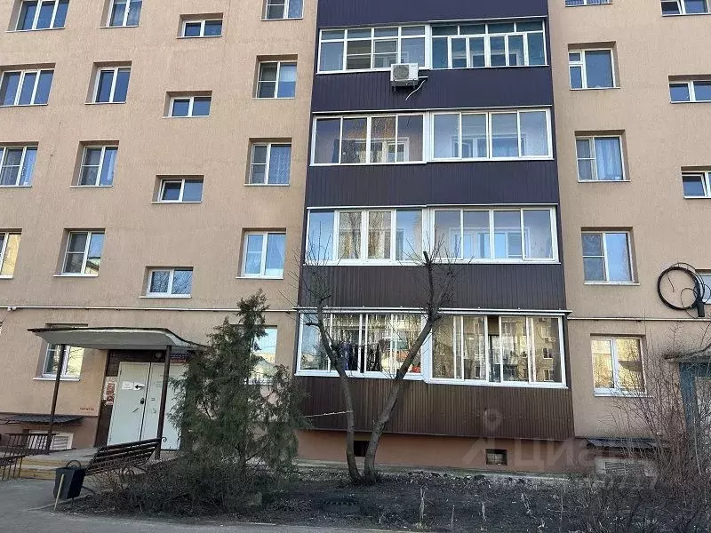 2-к кв. Воронежская область, Россошь ул. Алексеева, 22 (44.0 м) - Фото 2