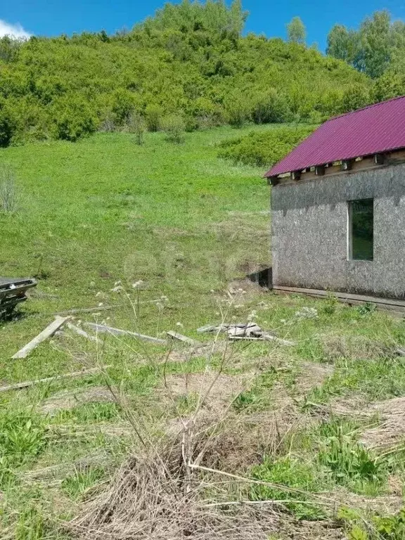 Участок в Алтай, Чойский район, с. Сугул Поселковая ул. (24.1 сот.) - Фото 1