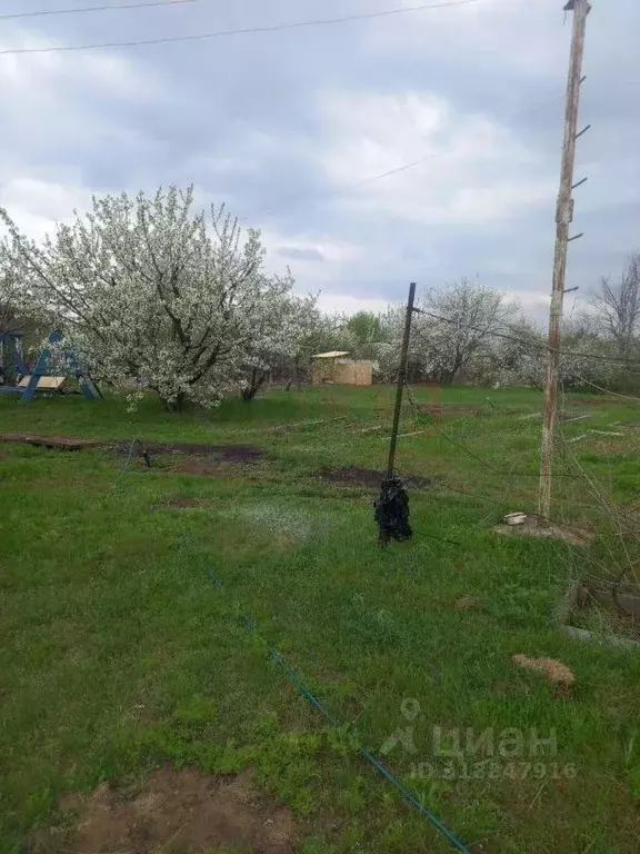 Участок в Волгоградская область, Городищенский район, Ерзовское ... - Фото 1