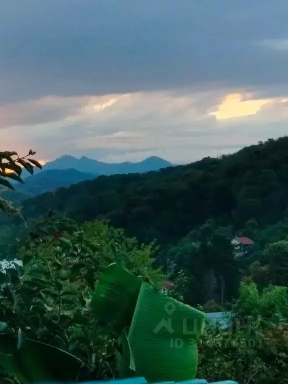 Дом в Краснодарский край, Сочи ул. Декабристов, 15 (50 м) - Фото 0