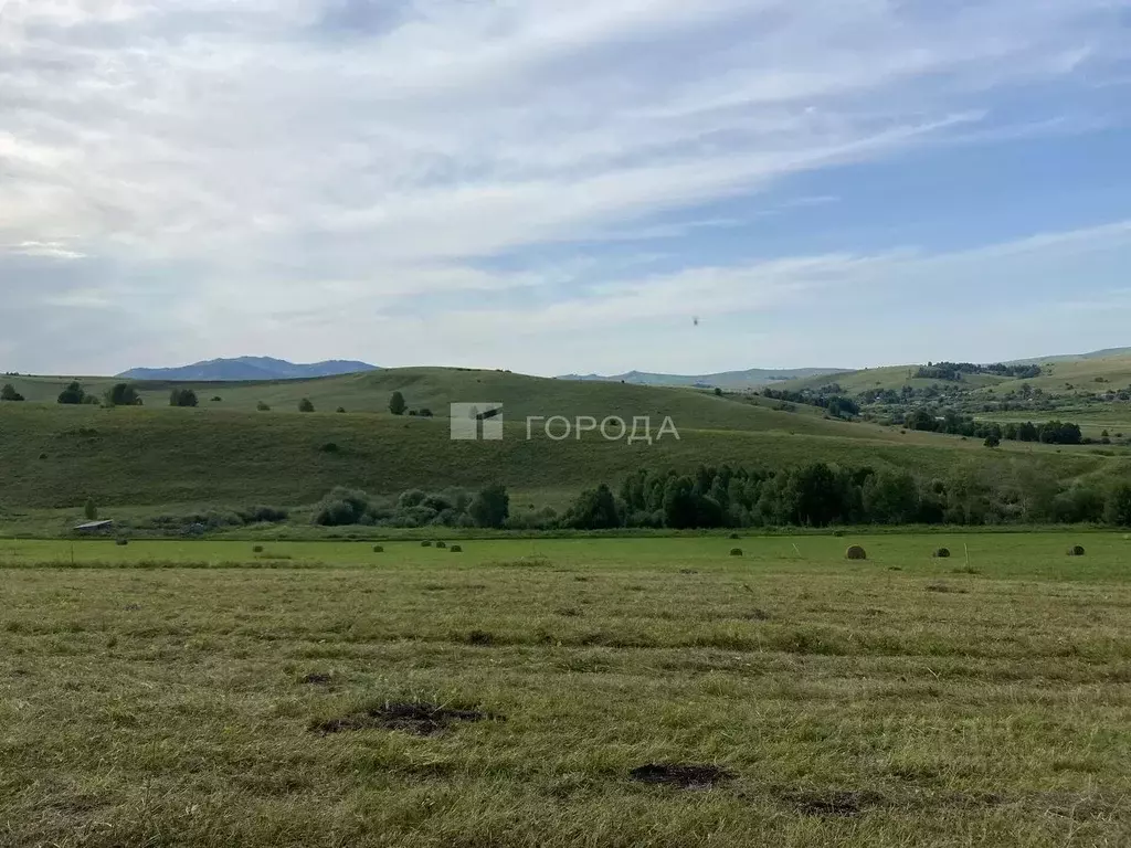 Участок в Алтайский край, Алтайский район, Жемчужина Алтая ДНТ  (10.0 ... - Фото 1