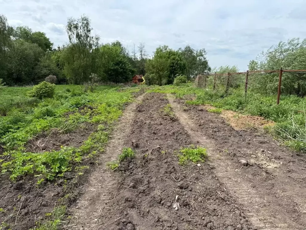 Участок в Московская область, Одинцовский городской округ, д. Жуковка, ... - Фото 1