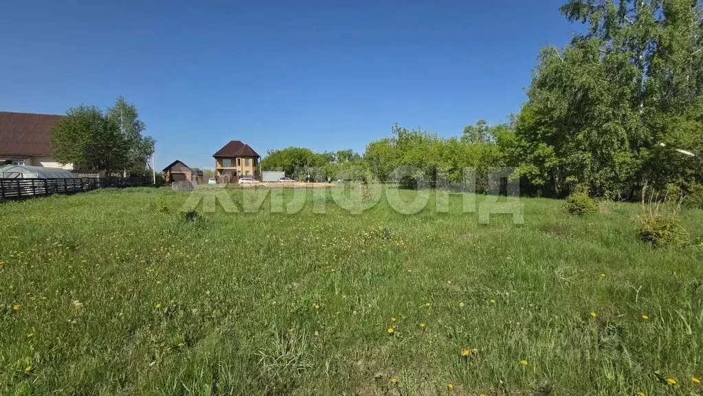 Участок в Новосибирская область, Новосибирский район, с. Ярково  (9.0 ... - Фото 1