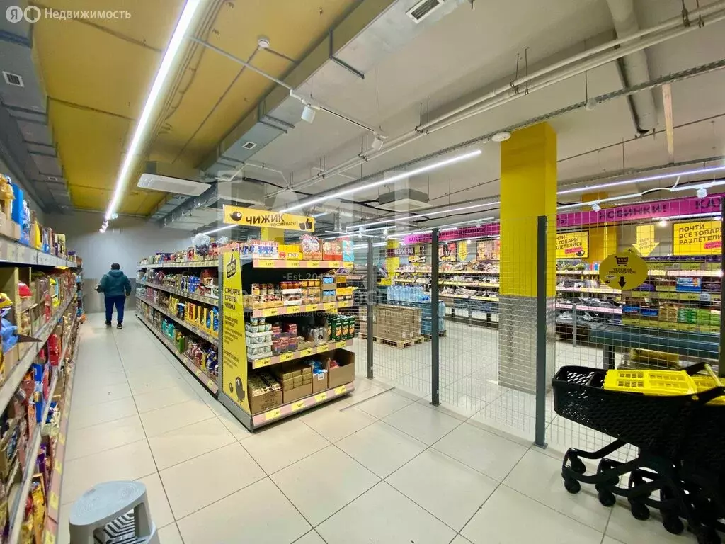 Помещение свободного назначения (771 м) - Фото 2