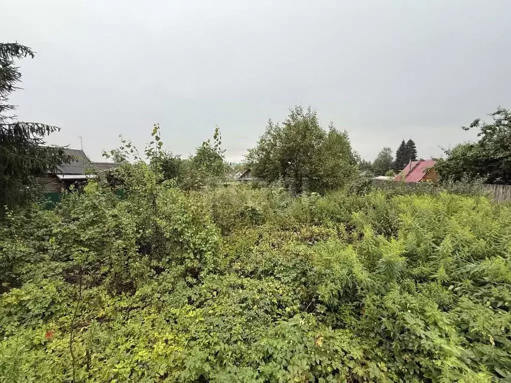 Участок в Тверская область, Лихославльский муниципальный округ, д. ... - Фото 1