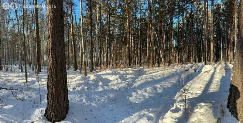 Участок в Иркутский муниципальный округ, ДНТ Петровская Слобода, ... - Фото 1